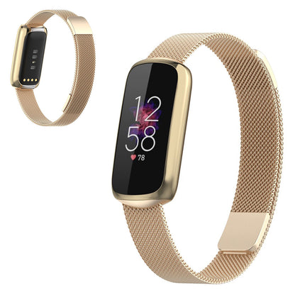 #color_champagne-gold